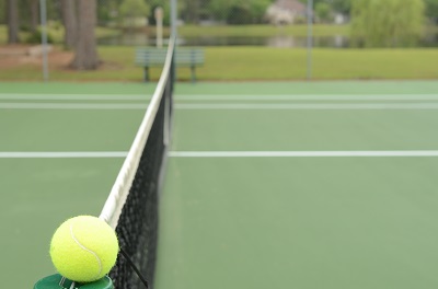 Tennis ball resting against the net